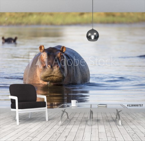 Picture of Happy Hippo